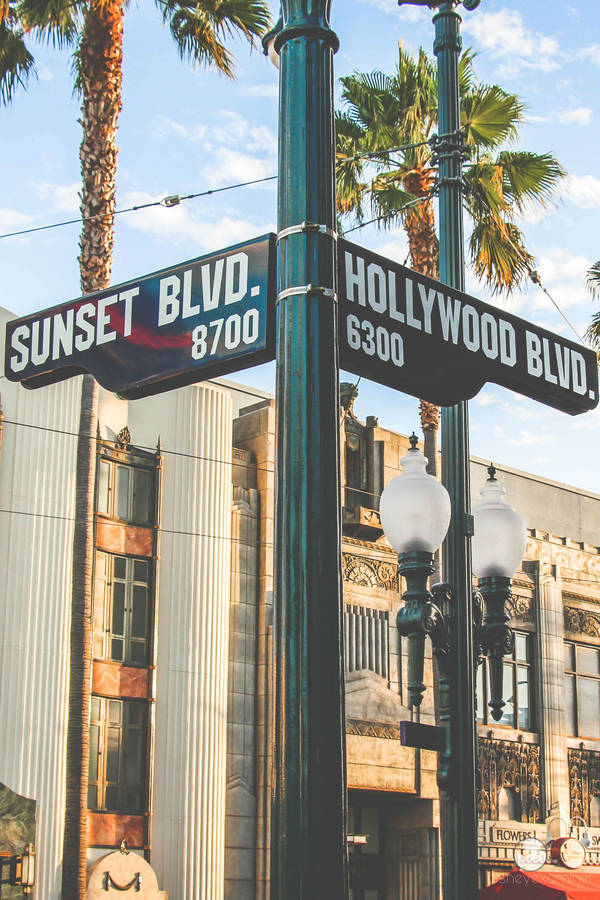 Hollywood Street Wallpaper